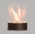 Campfire_Planika_rounded.jpg