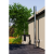 102PAK3150WIZ.png