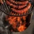 firefly-3.webp