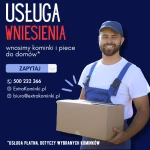 wniesienie.webp